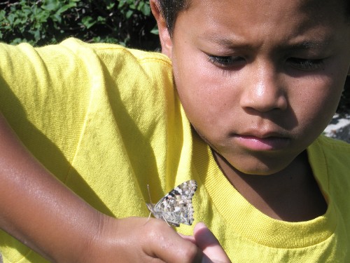 Boy with Butterfly